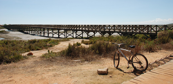 Bicicleta cycling Faro Algarve